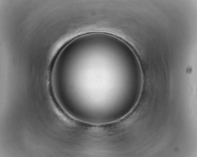 X0000091931511200709121548