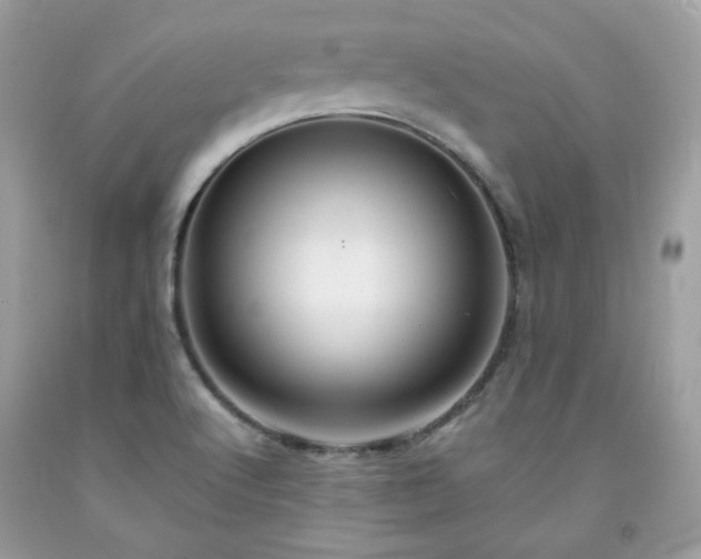 X0000091931512200709121548