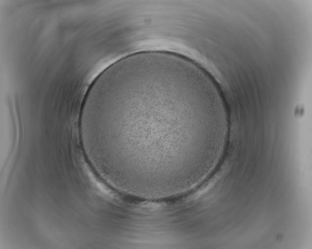 X0000091931513200709121548