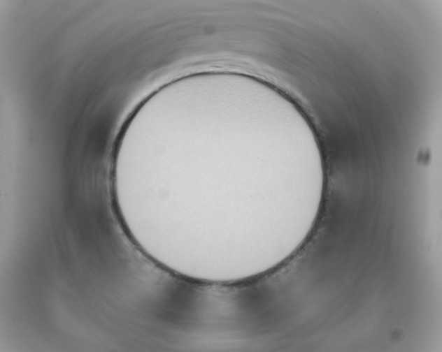 X0000091931514200709121548