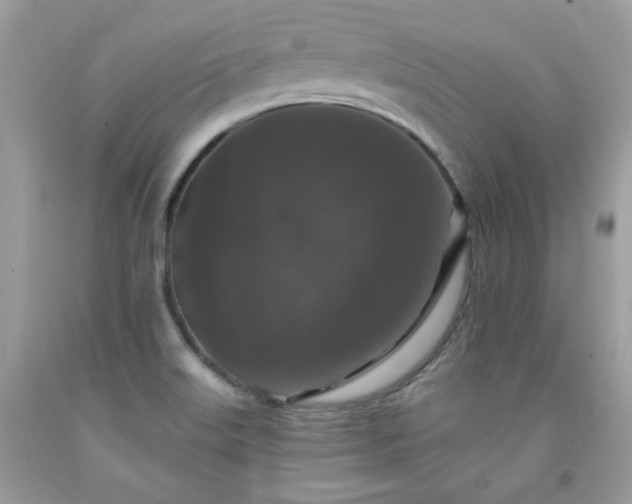X0000091931515200709121548