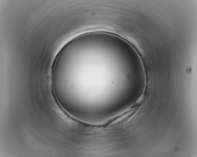 X0000091931516200709121548