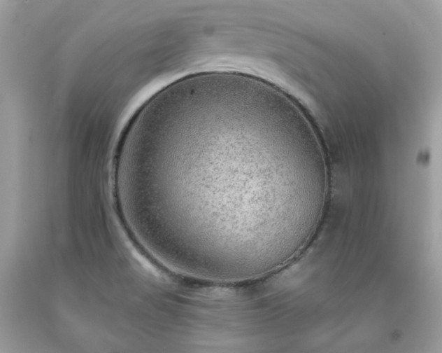 X0000091931517200709121548
