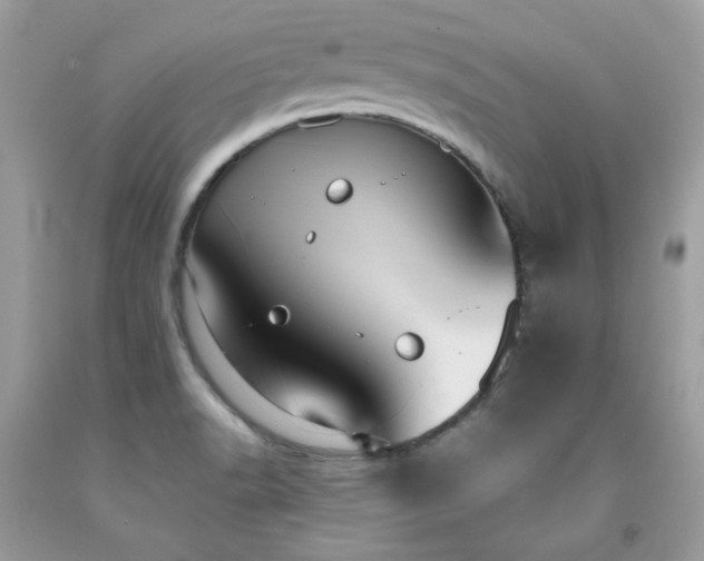 X0000091931518200709121548