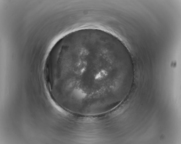 X0000091931519200709121548
