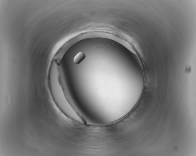 X0000091931520200709121548