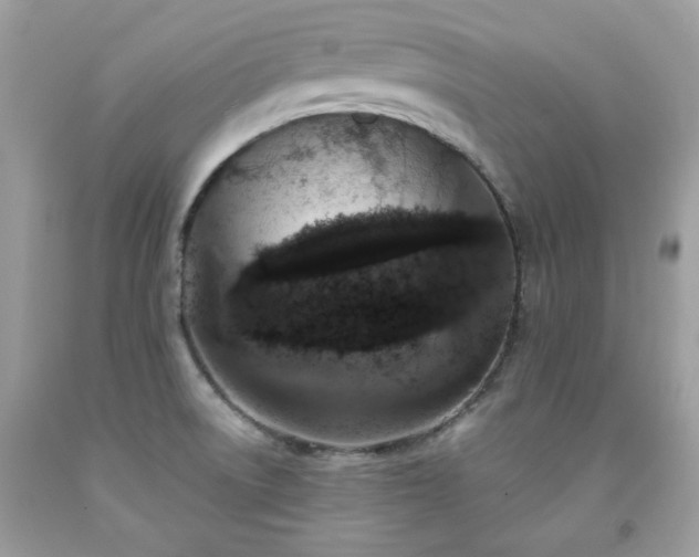 X0000091931522200709121548