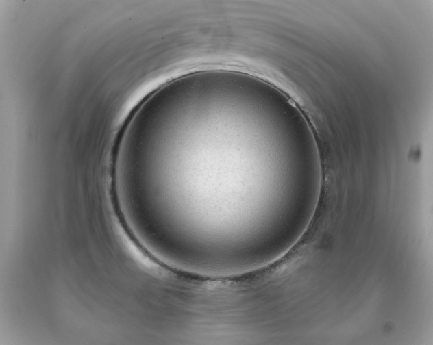X0000091931523200709121548