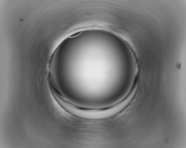 X0000091931524200709121548