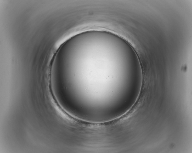 X0000091931526200709121548