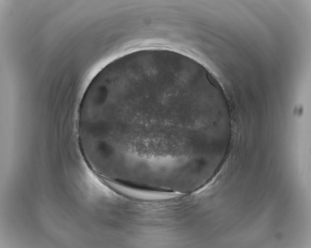 X0000091931527200709121548
