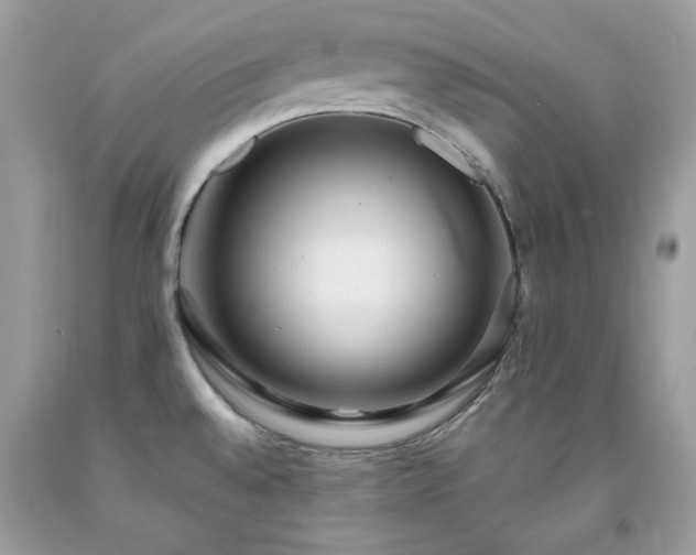X0000091931528200709121549