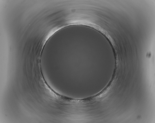 X0000091931529200709121549
