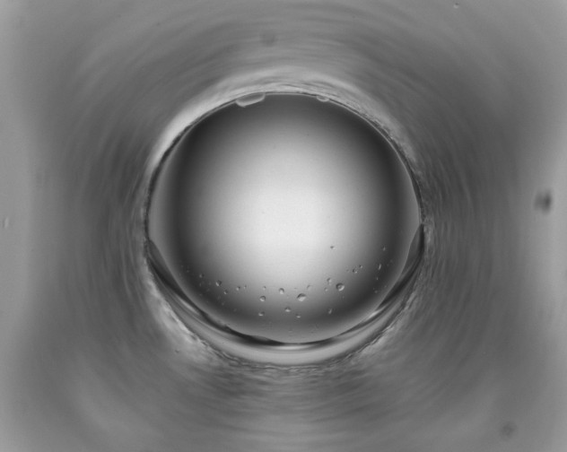 X0000091931530200709121549