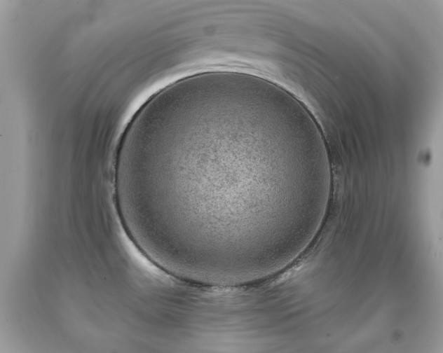 X0000091931531200709121549