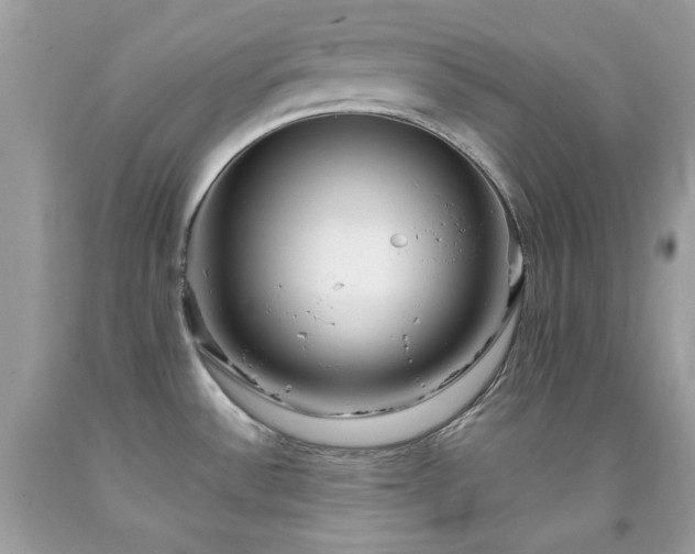 X0000091931532200709121549