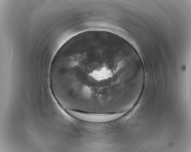 X0000091931533200709121549