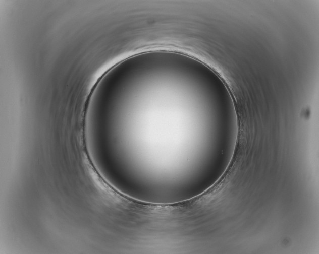 X0000091931534200709121549