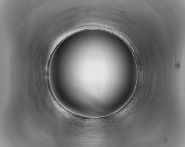 X0000091931535200709121549
