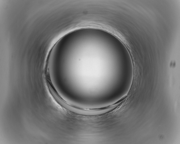 X0000091931536200709121549