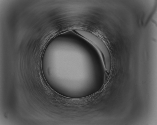 X0000091930001200709191409