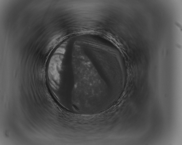 X0000091930002200709191409
