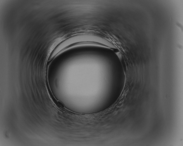 X0000091930003200709191409