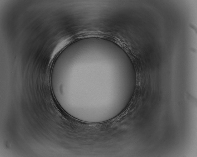 X0000091930004200709191409