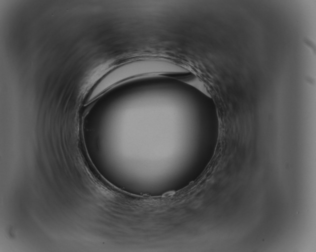 X0000091930005200709191409