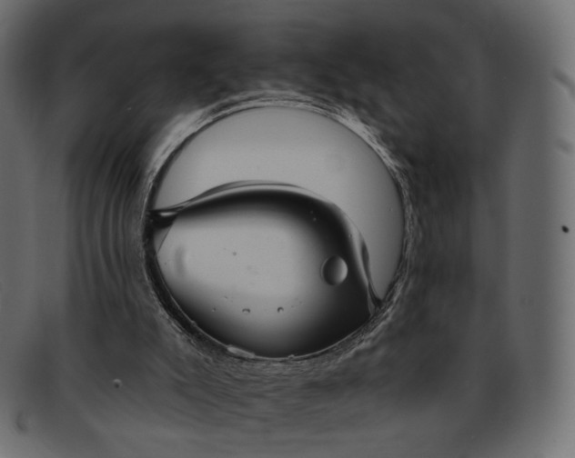 X0000091930007200709191409