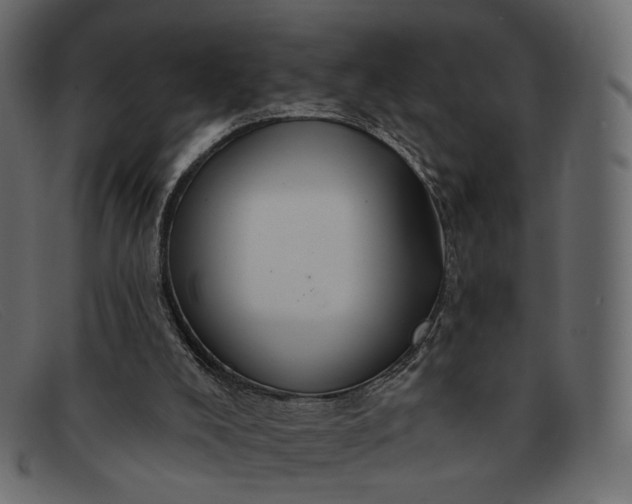 X0000091930008200709191409