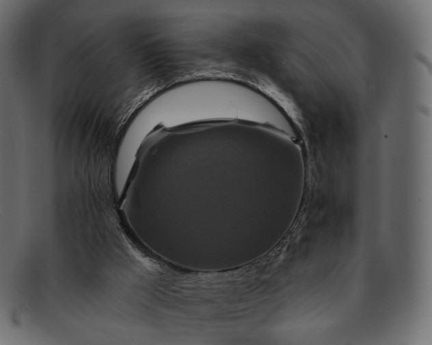 X0000091930009200709191409