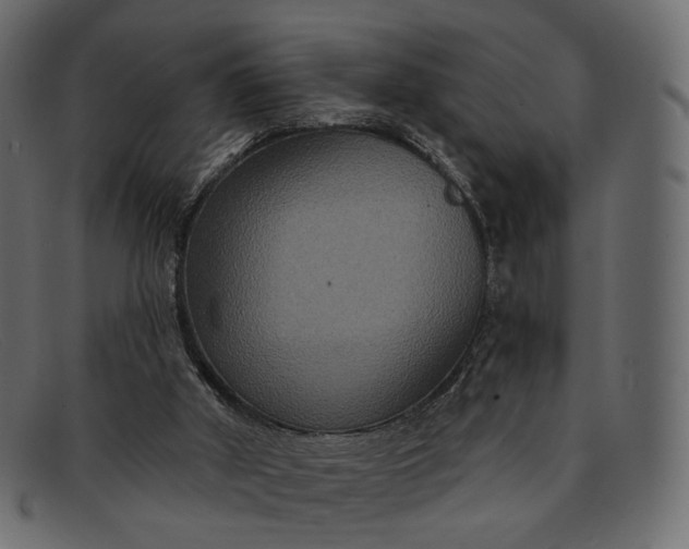 X0000091930010200709191409