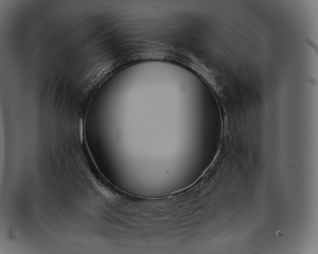 X0000091930013200709191409