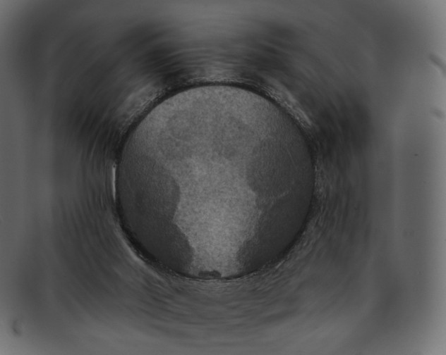 X0000091930014200709191409