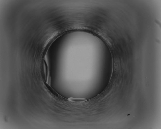 X0000091930015200709191409