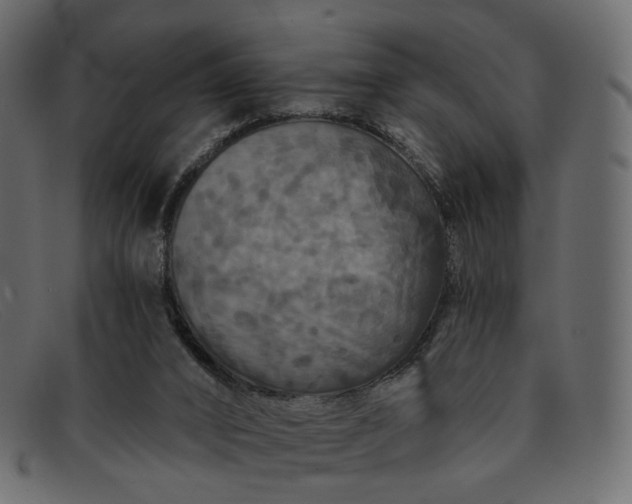 X0000091930016200709191409