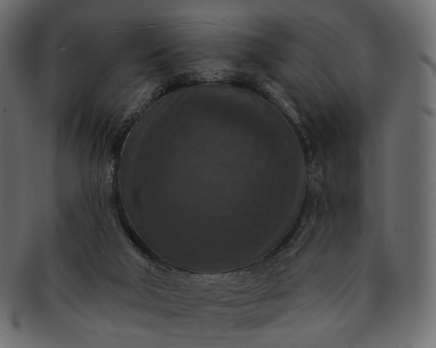 X0000091930018200709191409