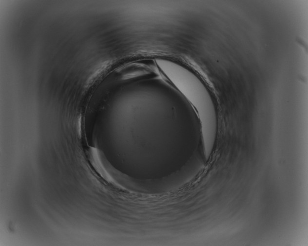 X0000091930019200709191409