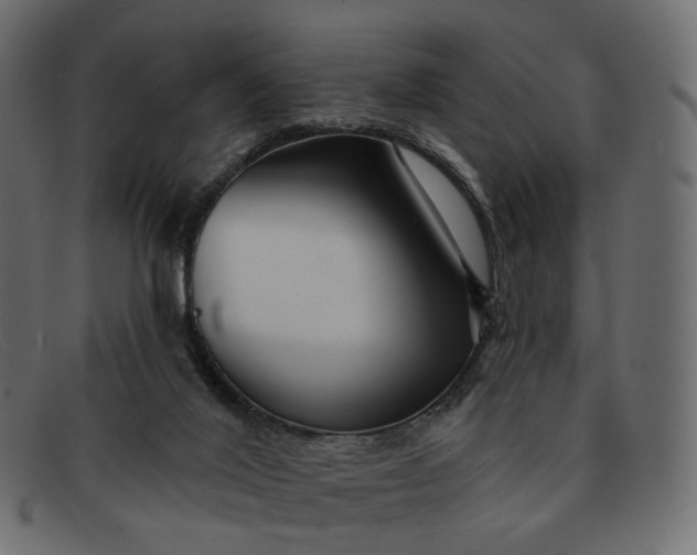 X0000091930020200709191409