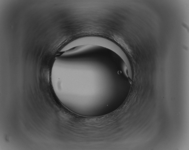 X0000091930021200709191409
