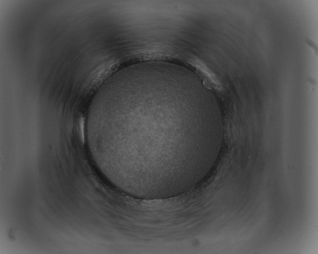 X0000091930022200709191409