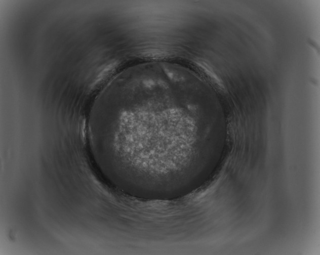 X0000091930024200709191409