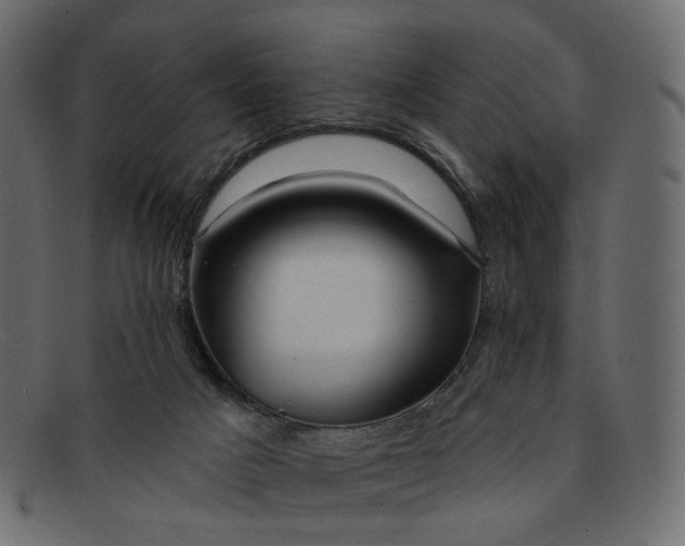X0000091930025200709191409