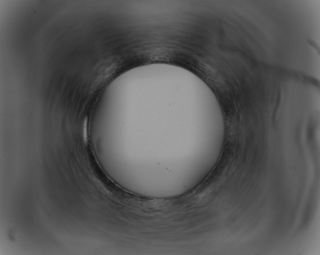 X0000091930028200709191409