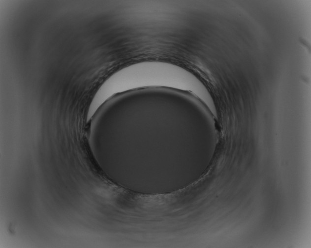 X0000091930029200709191409