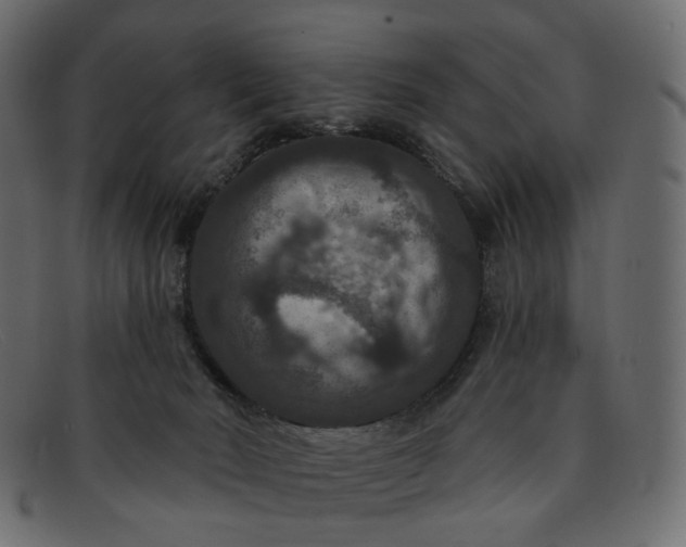 X0000091930030200709191409