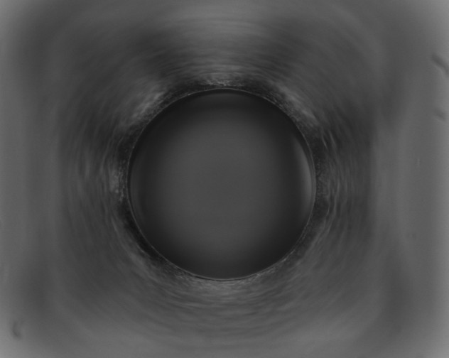 X0000091930031200709191409