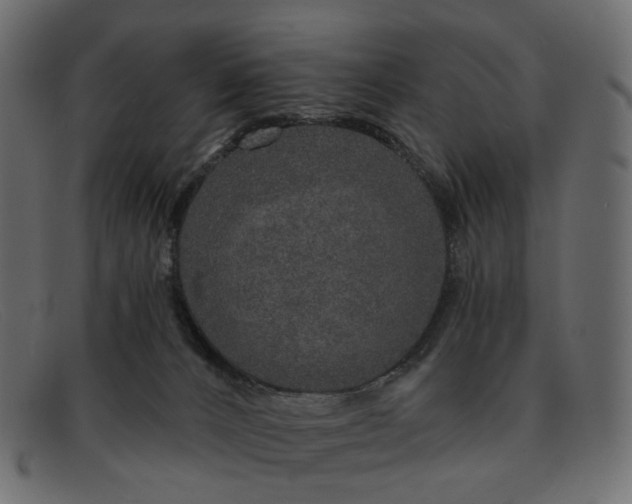 X0000091930032200709191409