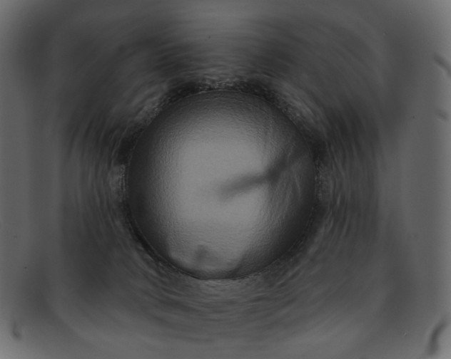 X0000091930034200709191409